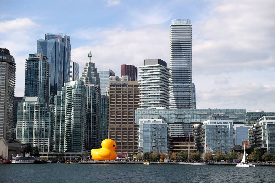 Kente gelen turistler, onu görünce gözlerine inanamadı! Parmakla gösterip endişeyle baktılar 14